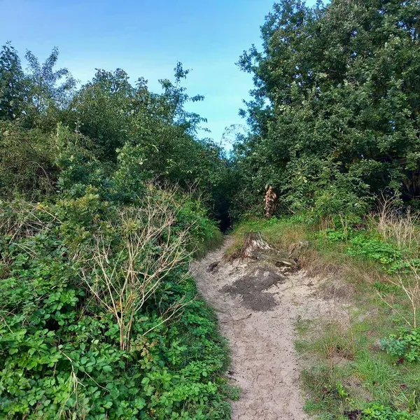 Foto 6