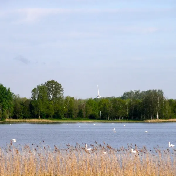Foto 18