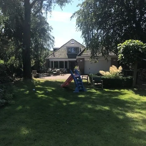 Image 8
