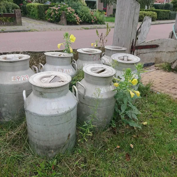 Image 8