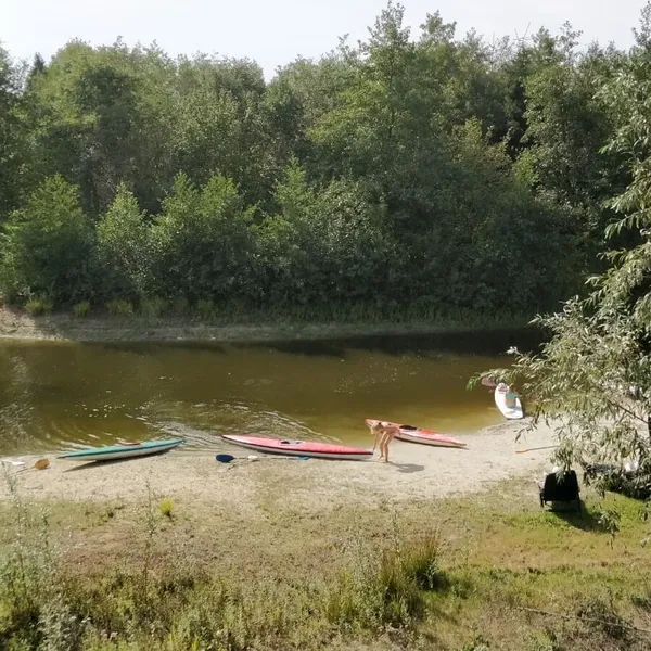 Image 8