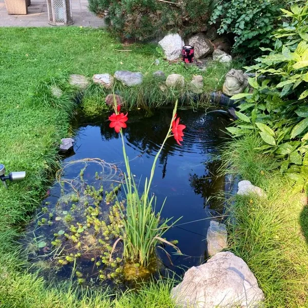 Foto 7