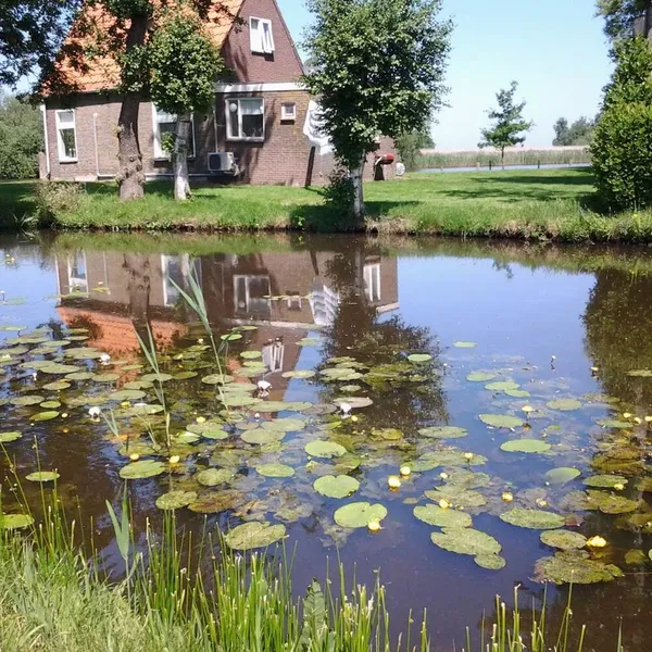 Foto 8