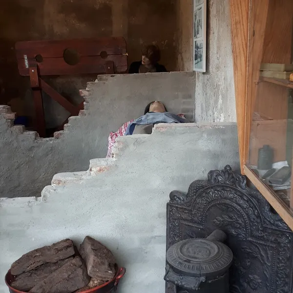 Image 7