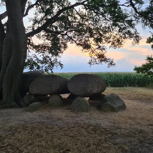 Image 6