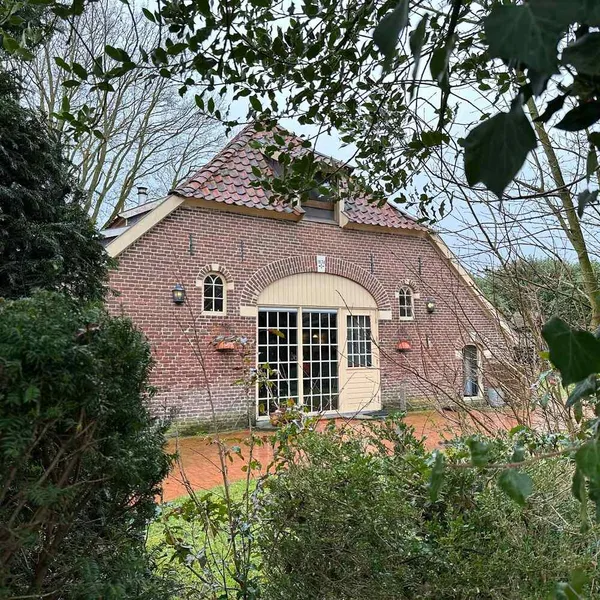 Image 7