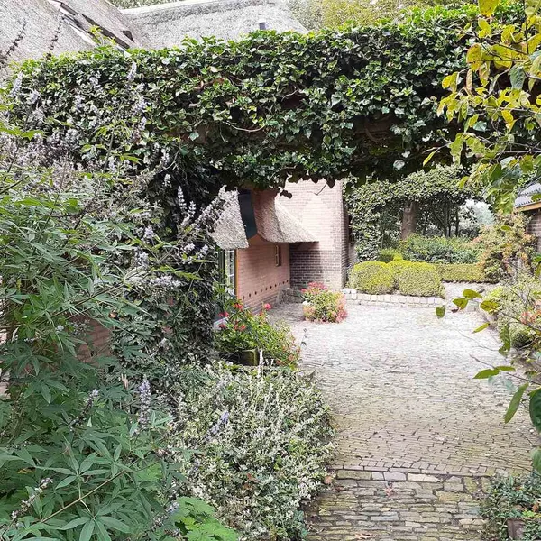 Image 9