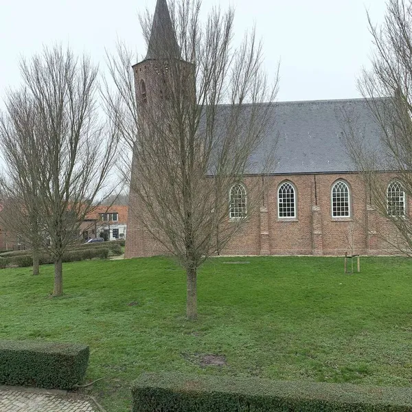 Image 8