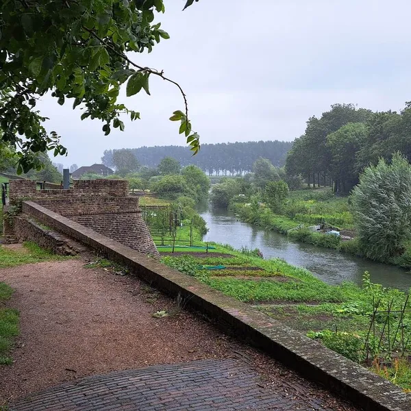 Image 10