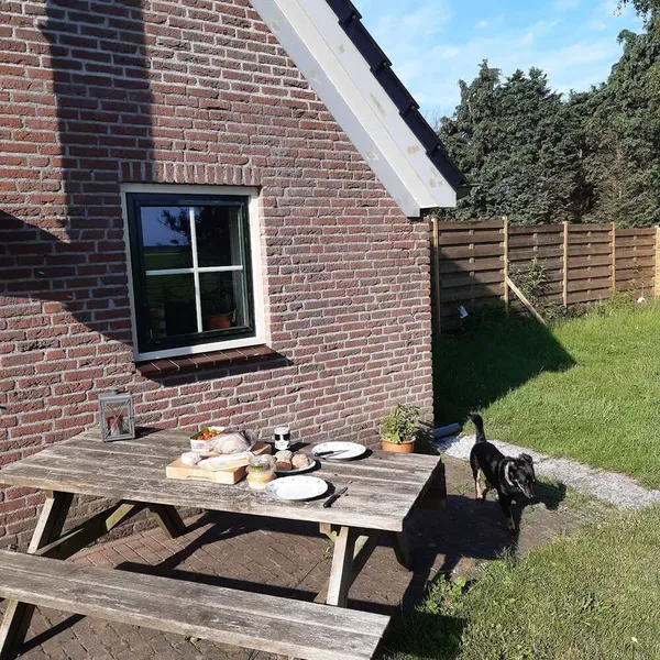 Image 6