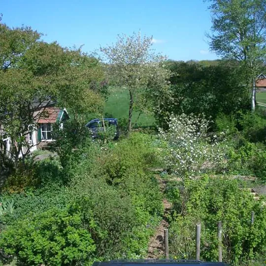 Foto 6