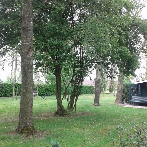 Foto 8