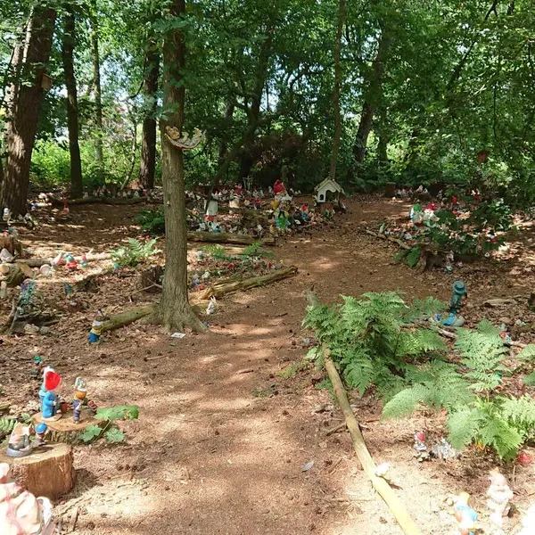 Image 4