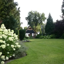 Image 9
