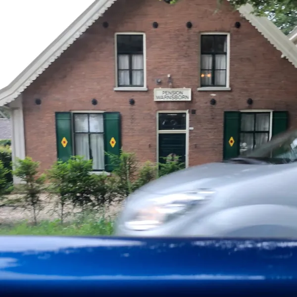 Image 6