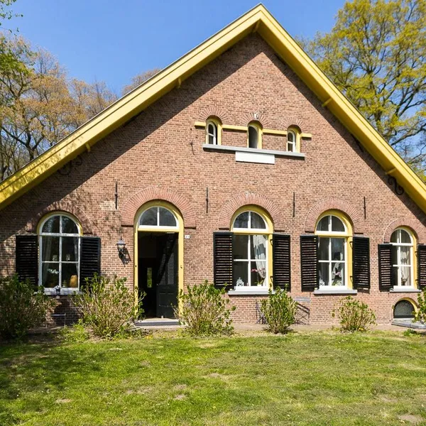 Image 8
