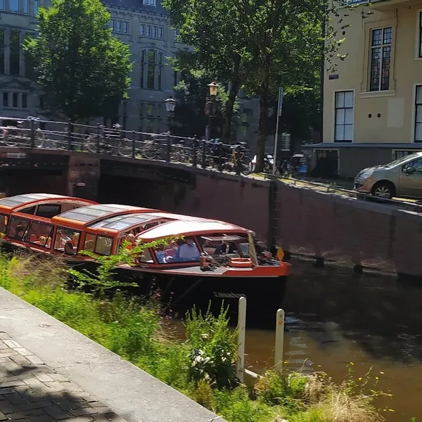Image 8