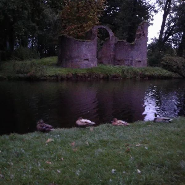 Foto 6