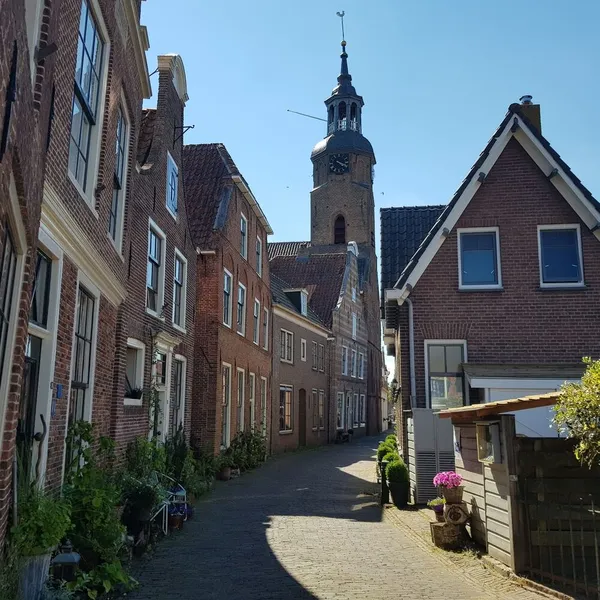 Image 8