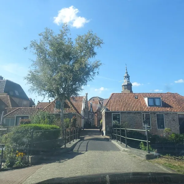 Image 9
