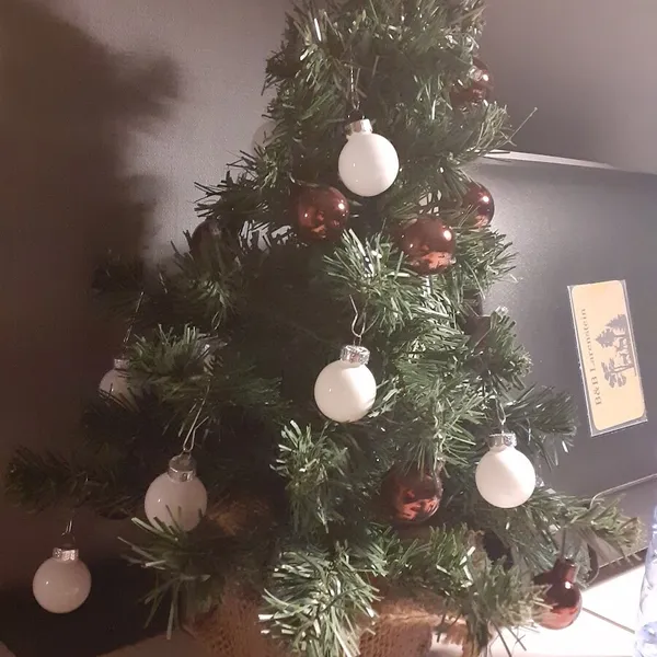 Foto 7