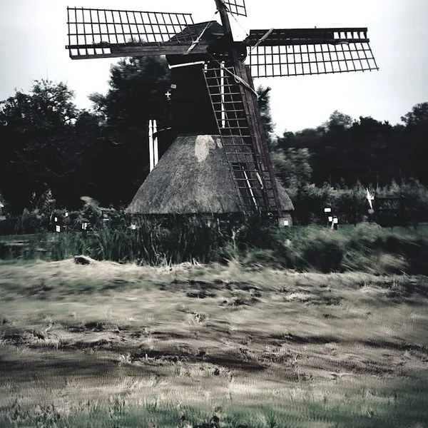 Image 8