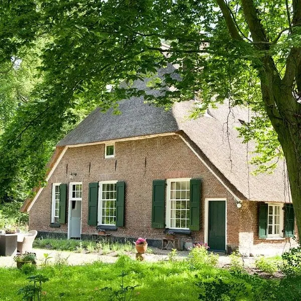 Image 6