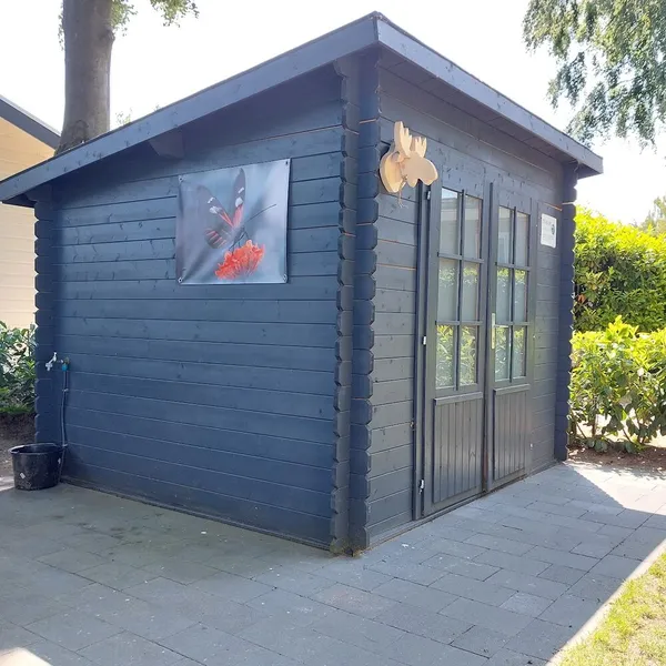 Image 6