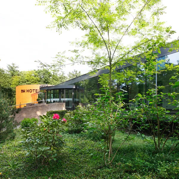 Image 13
