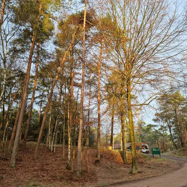 Foto 10
