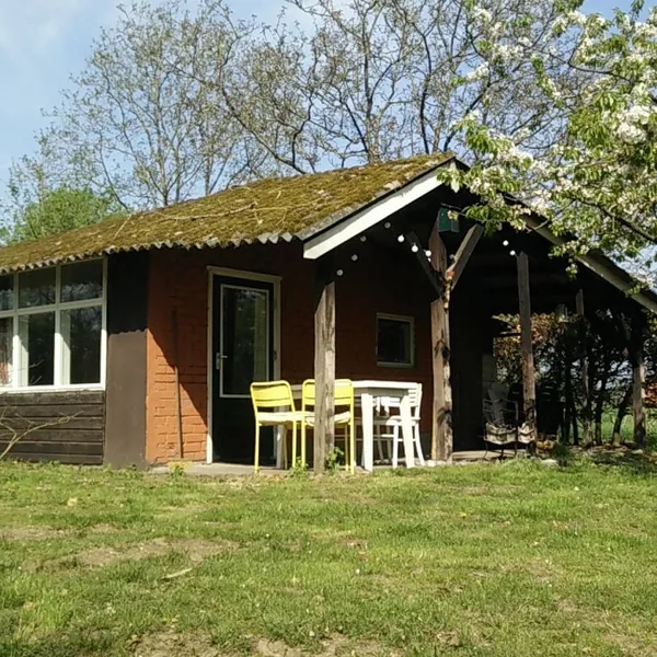 Image 6