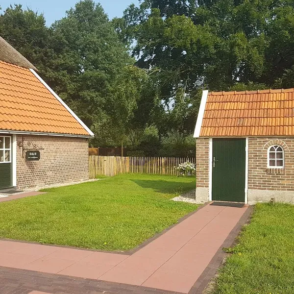 Image 8