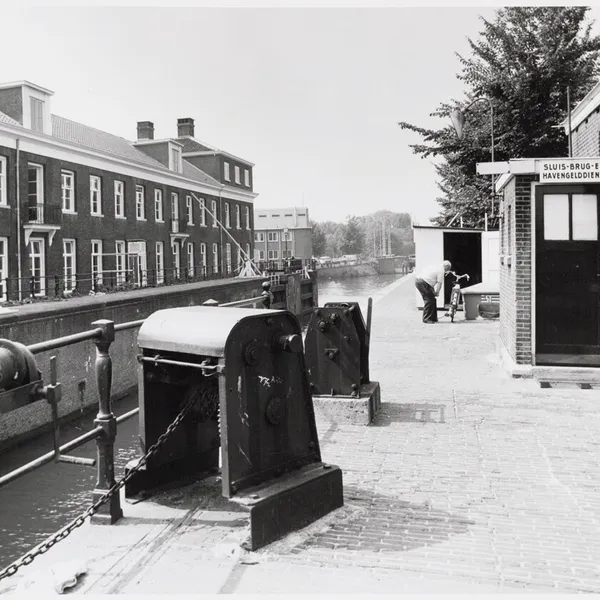 Image 7