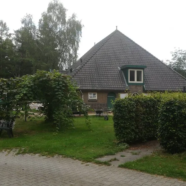 Image 6