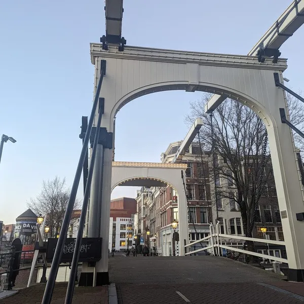 Image 8