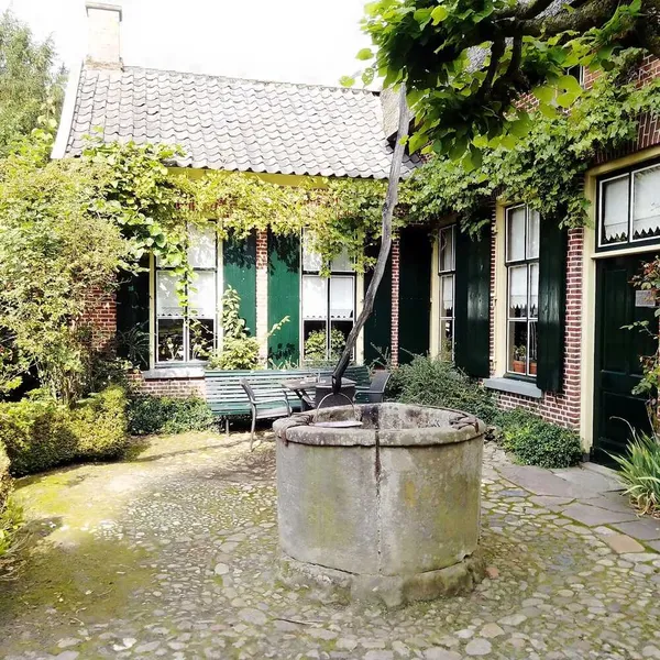 Image 9