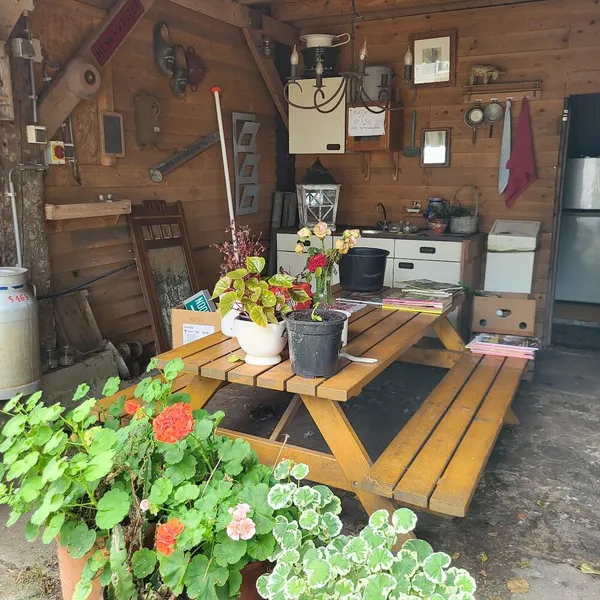 Image 8