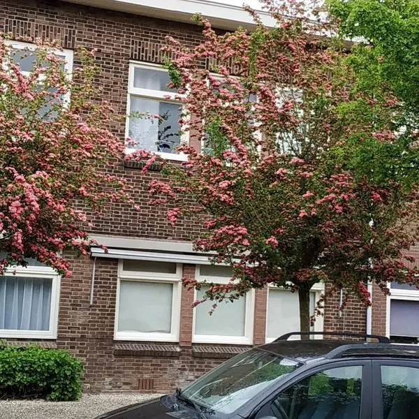 Image 6