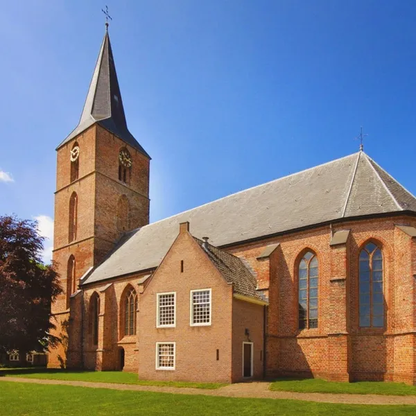 Image 8