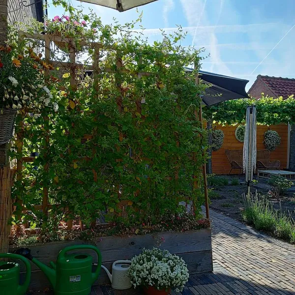 Image 10