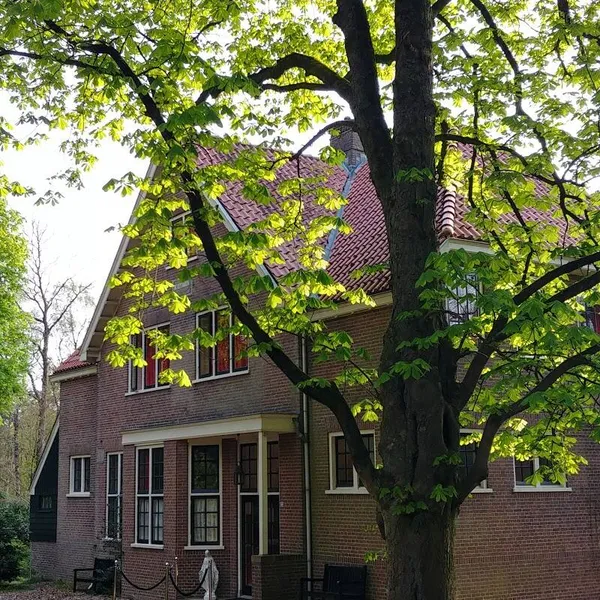 Image 9