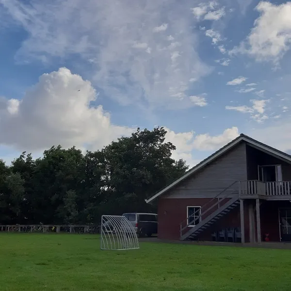 Image 8