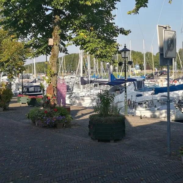 Image 9