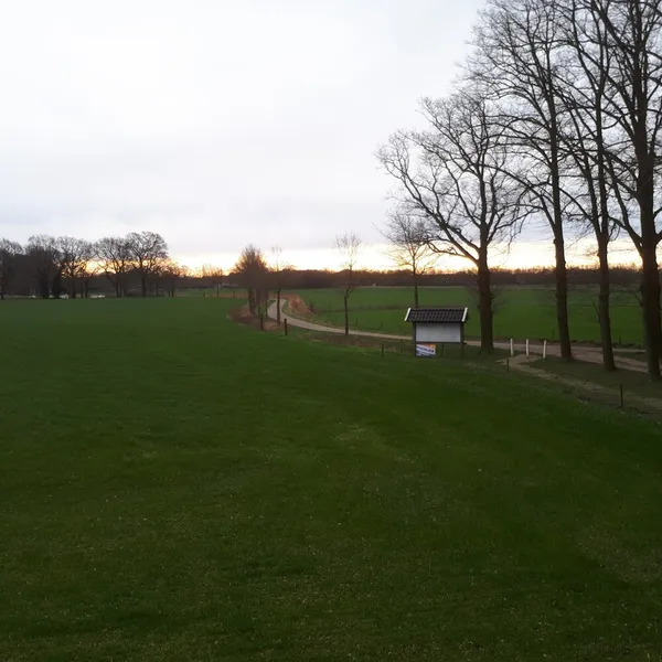 Image 10
