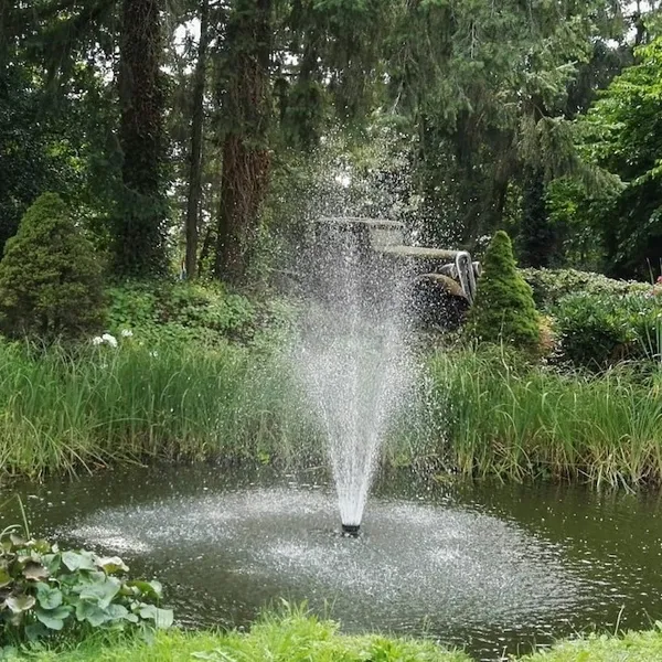Image 31