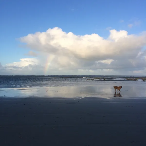Image 10