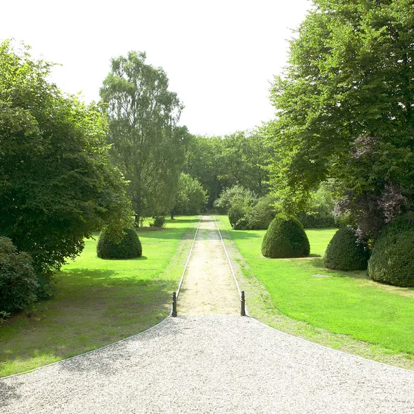 Image 16