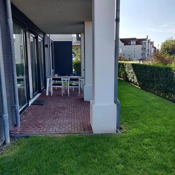 Image 7