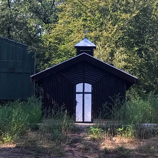 Image 6