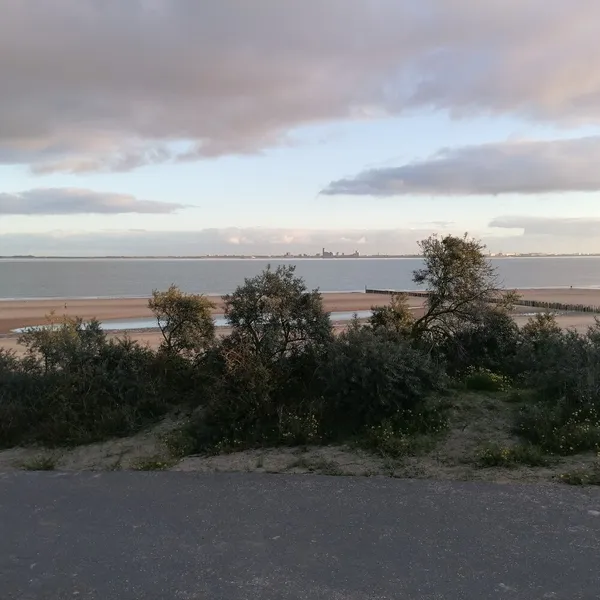 Image 5